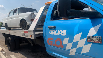 GRUAS GO
