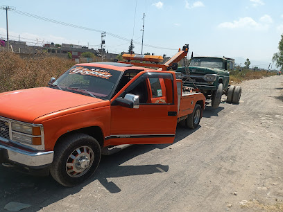 Gruas goguis