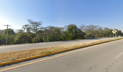 Gruas Martinez