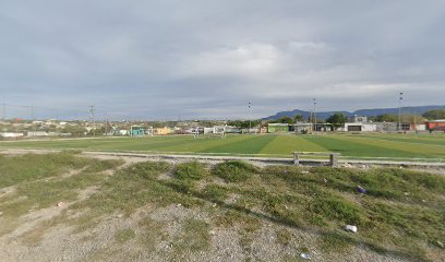 Metaloba del Norte